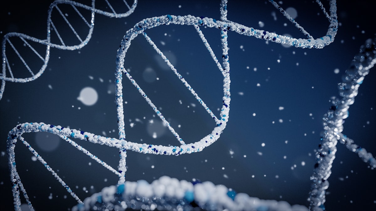 Reprezentare a helixului ADN, ilustrând componenta genetică a obezității